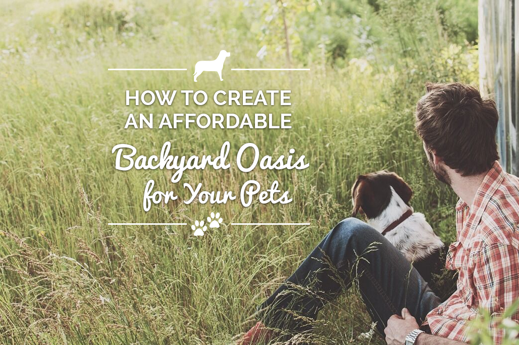 How to Create an Affordable Backyard Oasis for Your Pet - Finyl Vinyl Inc